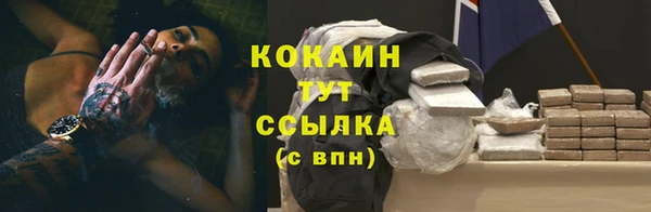 прущие крисы Белокуриха