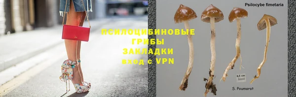 прущие крисы Белокуриха